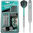 Target Darts Rob Cross Silver Voltage Steel Tip 24 Grams