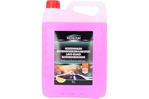 Protecton Solución limpiadora para Parabrisas 1890921, 5 l