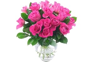 Clare Florist 20 Pink Roses Fresh Flower Bouquet - Stunning Collection of 20 High grade Pink Roses, Flowers Delivered Direct to Your Door