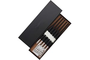 SIPLIV plastica professionale manga gothic pen dip dip set con 5 pennini manga calligraphy drawing pen kit - 5 pezzi, nero