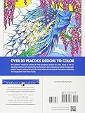 Image de Peacock Designs Coloring Book