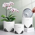 Meshpot 12 cm Orchid Pots with Holes,Set of 3,Double Layer Plastic Imitate Ceramic Orchid Planter Provide Good Air Circulation,Clear Orchid Pot Match Decorative Orchid Container