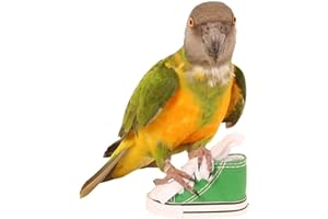 PARROT ESSENTIALS Sneaker Foot Toy For Parrots