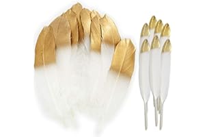 YIIKY Lagigo 60PCS Natürliche weiße Federn mit in Gold getränkter Spitze, Crafts Gänsefedern für Kostüm, Taschen, Ohrringe Dekoration, DIY Dream Catcher, Hochzeitsfest Home Party Dekorationen