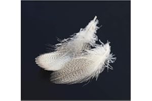 Tigofly 40 pz/lotto 4 colori Naturale Barrato Mallard Anatra Fianco Piume D'oca Selvatica Ali Capelli Fly Legare Materiali