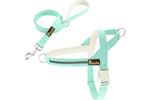 Plutus Pet Cotton Dog Harness and Lead Set, Reflective and Soft Padded, Quick Fit Vest Harness, for Small, Medium and Large Dogs, Light Cyan, M