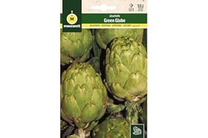 M MASCARELL SEMILLAS DESDE 1920 Mascarell Semillas, ALCACHOFA, Semillas Huerto, ALCACHOFA VERDE GLOBO, Crea tu Propio Huerto Urbano y Cultivo en Casa, Plantas Hortícolas, 1 Gramos