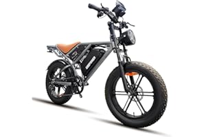 DEEPOWER S7pro Bicicleta Eléctrica para Adultos, 20' x 4.0 Fat Tire EBike con 48V 35/60Ah Batería Extraíble, 25KM/H, 7 Velocità Bicicleta Eléctrica, Amortiguadores Hidráulicos Duales