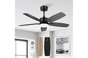 Orthland 106cm Ventilateur Plafond avec Lumiere et Telecommande, 5 Pales Reversible Silencieux Lustre Ventilateur de Plafond avec DC Moteur, 6 Vitesses Lampe Ventilateur Plafond pour Chambre, Salon