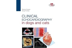 Clinical echocardiography in dogs and cats