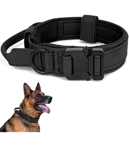 LTDTACTBAG Taktisches Hundehalsband – Verstellbar 50–74 Cm Mit Griff | Robustes Traininghalsband Für Große Hunde