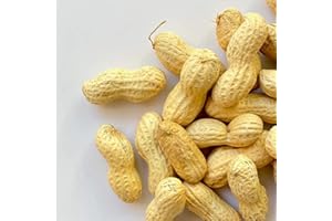 IL CONTADINO - ANTICHI SAPORI ARACHIDI CRUDE | Il Contadino | Frutta Secca (2 Kg)