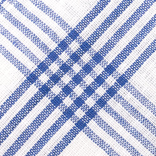 ZOLLNER® 10er-Set Geschirrtücher / Trockentuch / Küchentücher blau-weiß-kariert 50×70 cm aus 100% Baumwolle, in weiteren Farben erhältlich, vom Hotelwäschespezialisten Serie „Kitty“ - 4