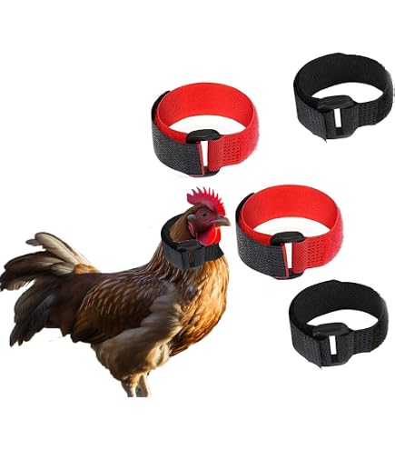 Krhenhahn-Halsband, verbessertes Anti-Krhen-Hahnenhalsband, kein  Krhen-Gerusch fr Hahn, Hahn, Klettverschluss, Nylon, verhindert Hhner  vom Schreien (6er-Pack) : Amazon.de: Haustier