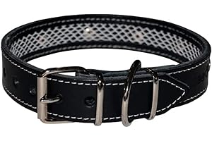 TUYNEC - Collier pour Chien avec Filet de Protection pour Collier Anti Puces pour Chien, Collier Fait Main en Cuir de Haute Qualité Qui Protège et Prolonge la Durée du Antiparasitaire