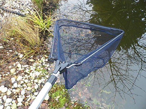 Laub Kescher Fischkescher für Teich und Pool Alu Teleskop 2,40cm Faltbar