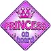 TROPHY PRINCESS Non personalised novelty baby on board car window sign.