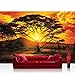 Produktbild Vlies Fototapete 300x210 cm PREMIUM PLUS Wand Foto Tapete Wand Bild Vliestapete - Afrika Tapete Sonnenuntergang Baum Weg Giraffe Savanne Himmel Pflanze Afrika gelb - no. 999