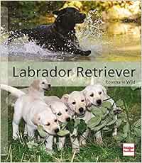 Labrador Retriever Buch