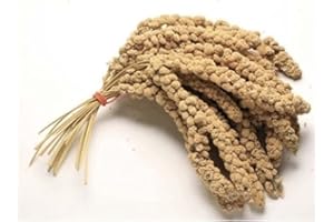 XIEEMAN MILLET SPRAYS 1Kg PREMIUM AVIARY BIRD FOOD