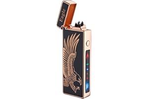 dachance Custom Personalized Cool Lighter Electric Gift Windproof USB Rechargeable Dual Arc for Camping Valentine's Day Gift (Eagle)
