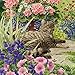 Produktbild Cat Lazy Summer Days - 1000 Teile - Katzenpuzzle