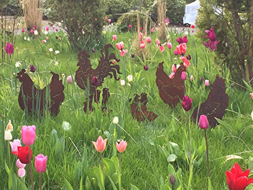 Gartenstecker Edelrost – Huhn – Höhe 40 cm - 4