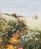 Die schönsten Wälder und Wiesen - Kalender 2019 by 