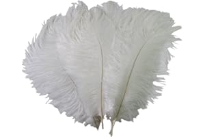 erioctry - Plumas reales de avestruz blancas de 15 a 20 cm para decoración para el hogar, paquete de 50