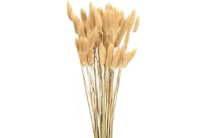 sourcing map 60pcs Natural Rabbit Bunny Tails Dried Flowers 17" Mini Pampas Grass Lagurus Ovatus Bunch for Floral Wedding Decor Christmas, Beige