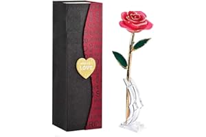 BESTYKS Ewige Rose,Eternal Rose,Die Schöne und das Biest,Rote Galaxie Rose Geschenke für Freundin Frau am Muttertag Geburtstag Valentinstag Jahrestag