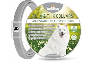 Woyamay Collare Antiparassitario per Cani, Naturale 8 Mesi di Protezione Collare Antipulci Cane, Regolabile Resistente All'acqua 65cm Collari Antiparassitari per Cani Per Tutte Le Taglie, Grigio