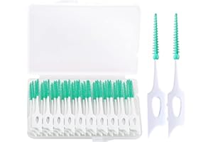DFSUCCES Dental Picks,40pcs Tooth Floss Picks Interdental Brush Flosser Sticks in Green,Suitable for Daily Cleaning and Protecting Teeth,with Storage Case for Brush Tool…