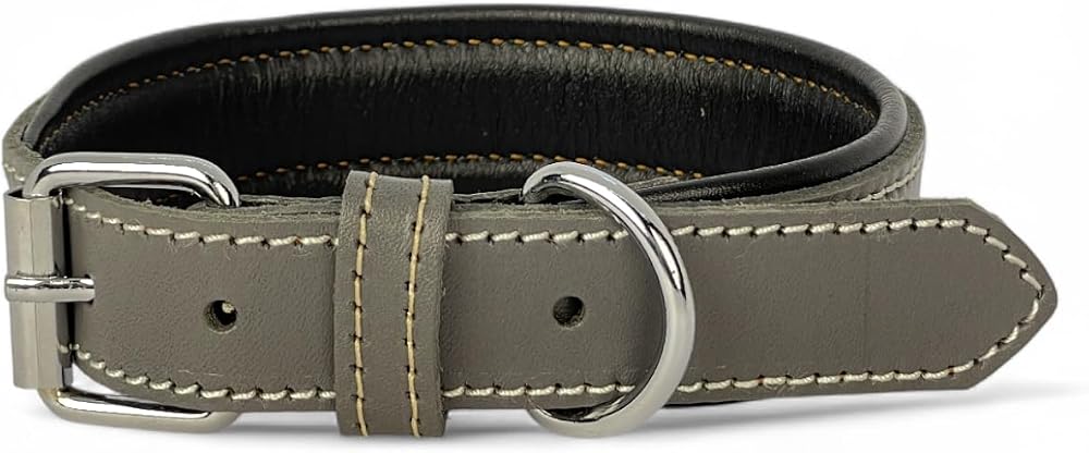 Canini Collar Rainbow S Hakiki Deri Orta & Küçük Köpek Tasması – S Beden, Orta ve Küçük Köpekler İçin Tasma, Yumuşak İç Deri, Krom Kaplamalı Toka & D-Halka, 10 Farklı Renk Seçenekleri (Gri)