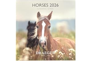 DRAEGER PARIS 1886 - Grand Calendrier mural 28x29 cm 2026 - Thème Chevaux - 12 mois - Papier FSC - Illustrations détachables