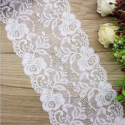 Embroidered Lace Ribbon Trim Fabric Embellishment Patches Clothes Wide 16cm Lenth 2 Yards Hollow White Nylon (01)