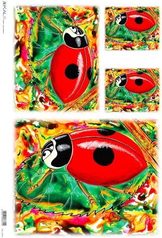 Accademia del Decoupage Ladybird on Leaf