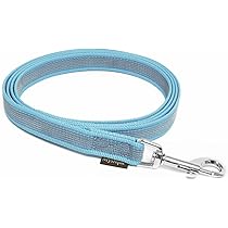 Gummiert Hundeleine 3m Blau - Schleppleine Mit Karabiner | Made In Germany