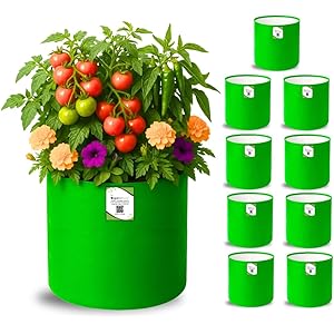 ORGANIC BAZAR 12x12 Grow Bags for Terrace Garden, Premium HDPE 260 GSM Green Planters for Vegetables, Flowers, and Indoor Outdoor Plants (Pack of 10)