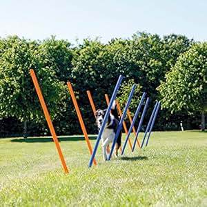 Trixie Köpek Agility Eğitim Manisi , 129 × 115 × 3 cm Köpek Eğitim Ürünleri Trix