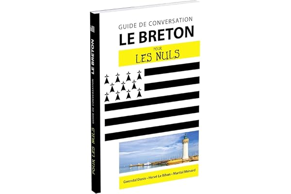 Le breton - Guide de conversation Pour les Nuls