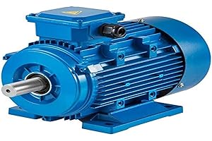 OLDFE VEVOR Motore Base Rigido 3 Fase B3 Montaggio 400V Tensione 2 Poli Potenza 2200W Motore Asincrono Motore Elettrico 2.2 kW B3 con Trifase e Velocità Nominale 3000PRM