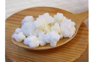 Bästa kvalitet mjölk kefir spannmål SCOBY i Storbritannien + gratis leverans och recept längtan lång livslängd (10 g)
