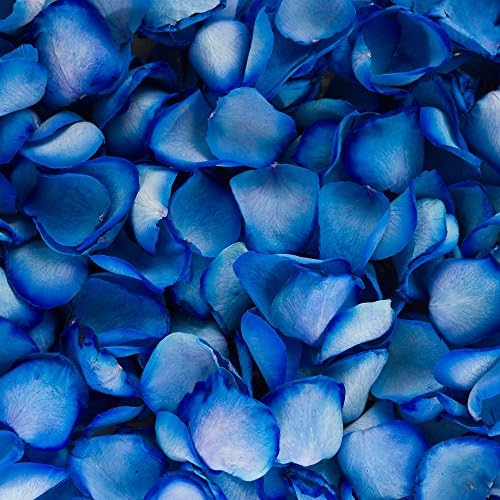 PETALS AND ROSESFreeze Dried Rose Petal Confetti | Natural & Biodegradable for Weddings, Chelsea Blue, 2 Litres