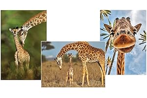 Edition Colibri (11119) - Biglietto d'auguri con scritta in lingua tedesca "GiraFFE with Baby Baby", con animali dell'Africa
