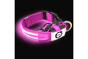 TDL MARKET TDL Collare LED Luminoso per Cani | Impermeabile | Ricaricabile USB | Addestramento e Passeggiate Notturne | 3 modalità di Funzionamento | Batteria a Lunga Durata (M, Rosa)