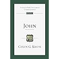 John: An Introduction and Commentary: 4 (Tyndale New Testament Commentaries, 4)