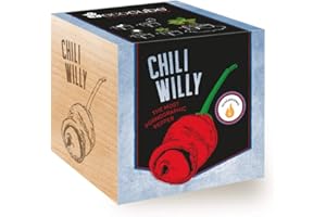 Feel Green Ecocube Chili Willy, The Most Pornographic Pepper, Idea de Regalo sostenible (100% Eco Friendly), Grow Your Own/Anzuchtset, Plantas en Cubos de Madera, Fabricado en Austria