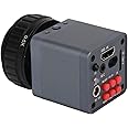 Xinwe HD Video Microscope Camera, 4K 2160P DC 12V Multicolor Support for Linux System HD Industrial Microscope Camera with C-mount Adapter Lens for Research (UK Plug)