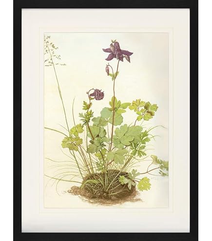 Albrecht Dürer Poster 'Betende Hände' Gerahmt 40x30 Cm - Edle Wanddekoration